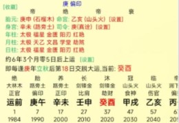 张雪峰老师命例学术探讨（基于生辰八字解析）