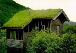 房子长时间不住会有什么影响