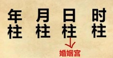 八字夫妻宫的查看方法
