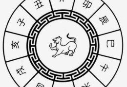 戊戌年出生的人命好吗