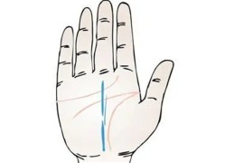 手相如何看职业发展的前景