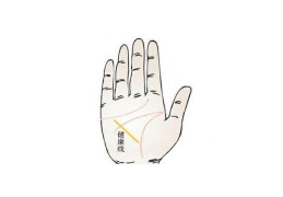 认识手相健康线