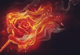 老板办公室的风水禁忌（老板办公室的风水禁忌有哪些）