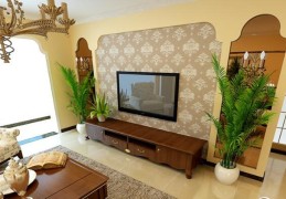 客厅养植物需要注意什么