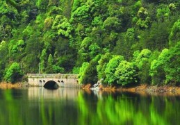 八字十神数量歌诀注解（八字十神数量怎么算）