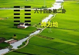 六十四卦：坤为地卦详解（六十四卦坤为地卦详解）