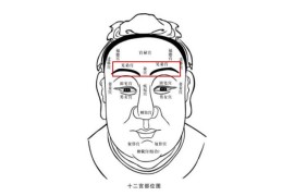 面相兄弟宫详解