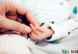 六爻测生男生女理论依据