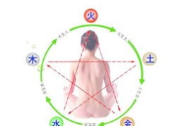 医生的八字特征