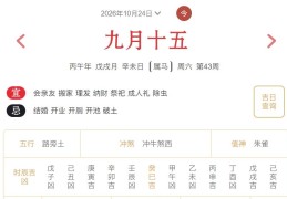 2026年10月24日每日五行穿衣指数解读搭配