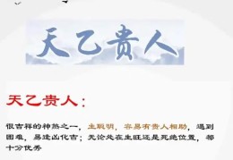 命带什么贵人神煞贵气最旺