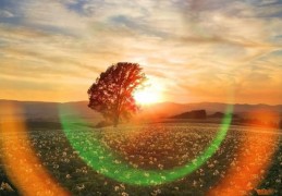 民间不传八字秘诀