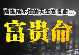 八字看富贵命特征有哪些，富贵命八字格局