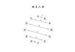地支六合象义
