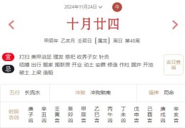 2024年11月24日每日五行穿衣指数解读搭配