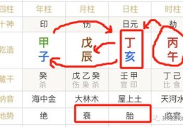 喜用神查询,取八字喜神与喜神的关系