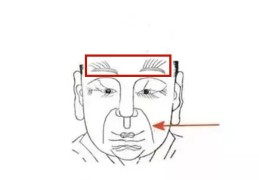 男人面相特征看早婚还是晚婚