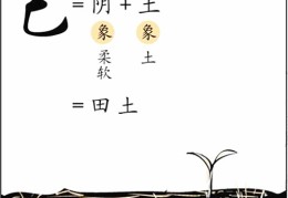 八字基础知识：十天干、己土