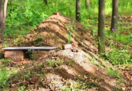 坟墓周围的长树风水好吗