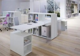 ​手相与掌纹概述