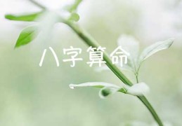 八字算命的理论依据