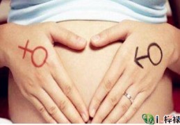 八字生男生女计算公式