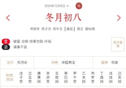 2024年12月8日每日五行穿衣指数解读搭配