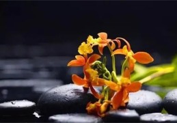 六爻测灾难种类