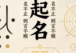 怎么样根据八字取名字，八字取名的原理与技巧