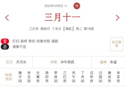 2025年4月8日每日五行穿衣指数解读搭配