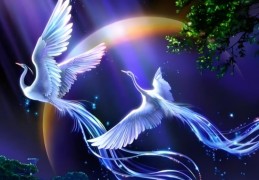 八字命带孤鸾煞代表什么