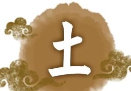男人是己土日元命好吗