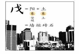 戊土日元生于各月命理