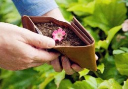 导致家里破财的风水（导致家里破财的风水有哪些）