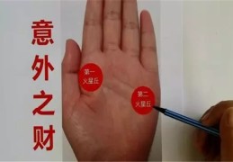 什么样的手相财运好