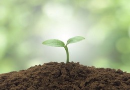 五行缺土如何旺财