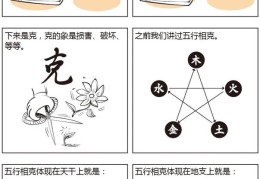 漫画学八字——八字推算规则（二）