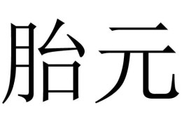 ​命理神煞胎元论命
