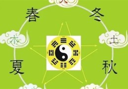 纳音五行配十二运程（纳音五行配十二运程定性）