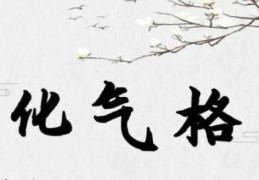 化气格成格条件，化气格的人命运特征