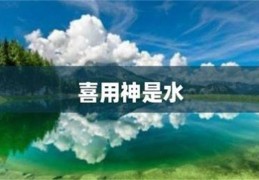 喜用神为水忌讳什么（喜用神为水怎么补）