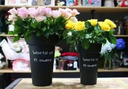 店里放什么植物招财