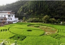 风水中的砂水及龙