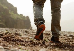 八字看另一半对婚姻是否忠诚