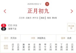 2025年2月6日每日五行穿衣指数解读搭配