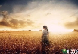 什么男命可以娶到好妻子