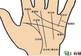 手相基础学：认识五大掌纹