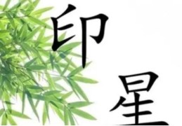 印星过旺的八字