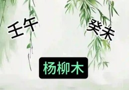 壬午杨柳木是什么意思？壬午杨柳木的命好吗
