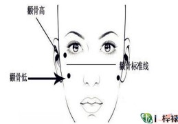 颧骨解读女人命运